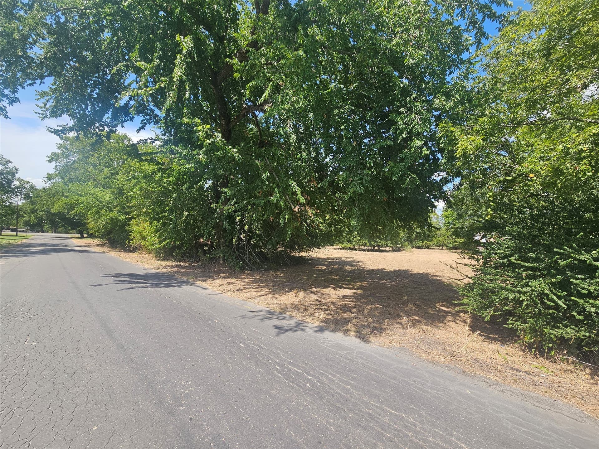 1.11 acres in Limestone County - photo 5
