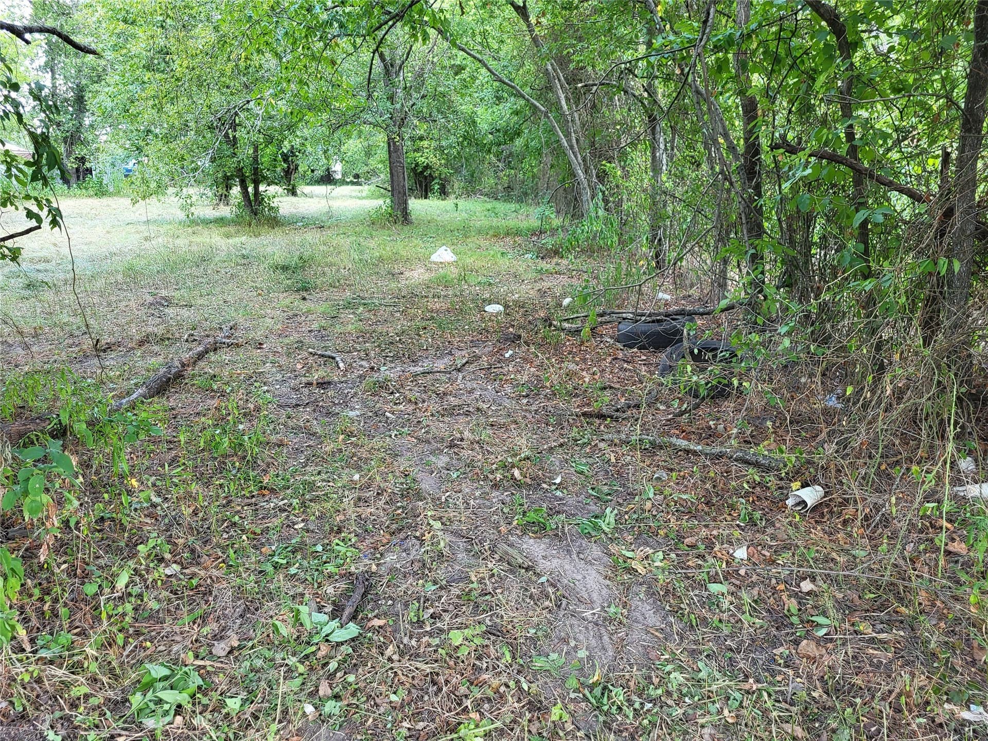 1.11 acres in Limestone County - photo 3