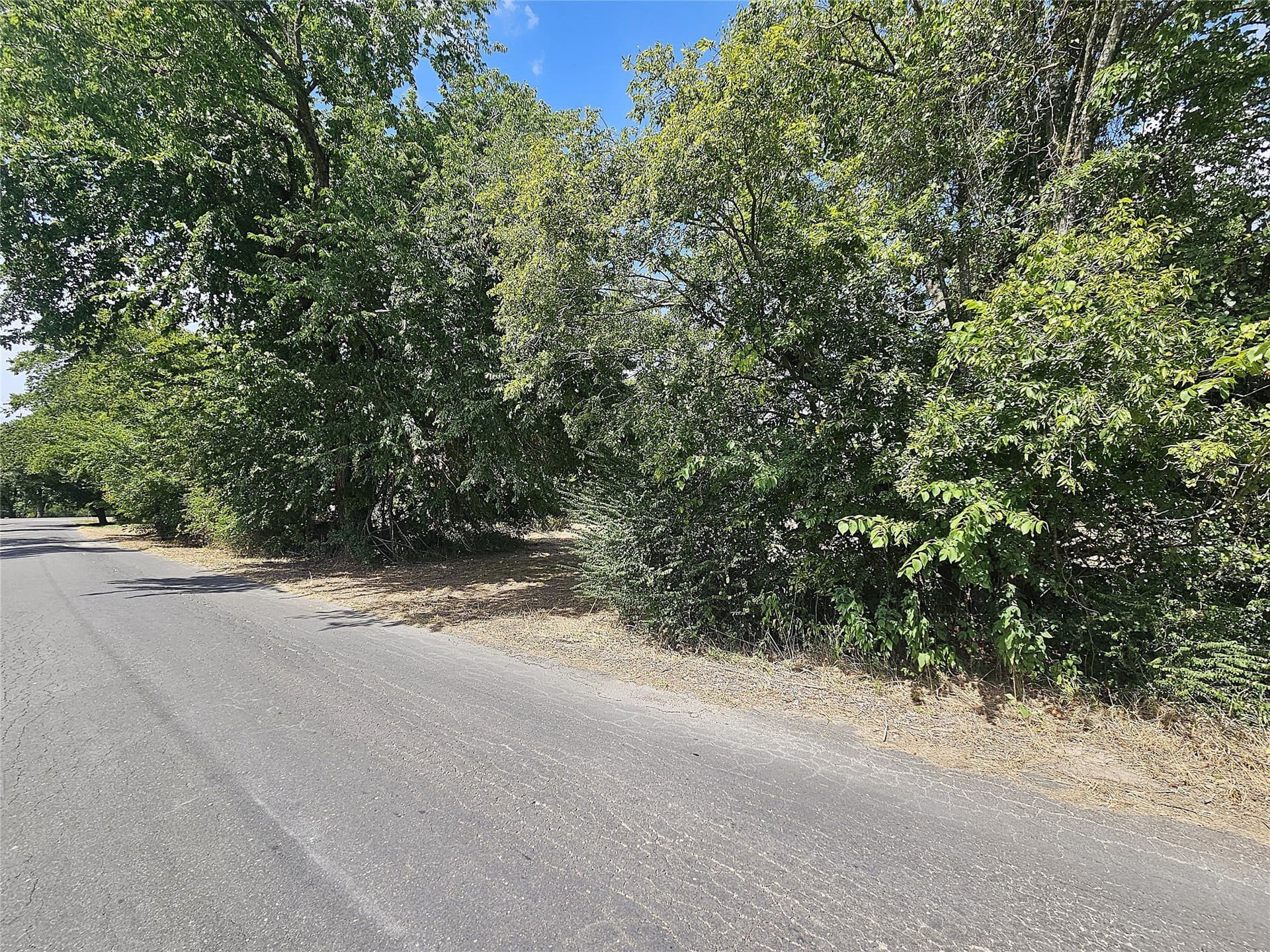 1.11 acres in Limestone County - photo 7