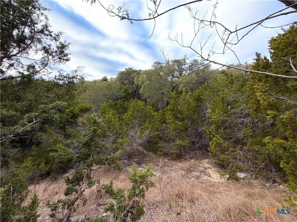 1.04 acres in Comal County - photo 20