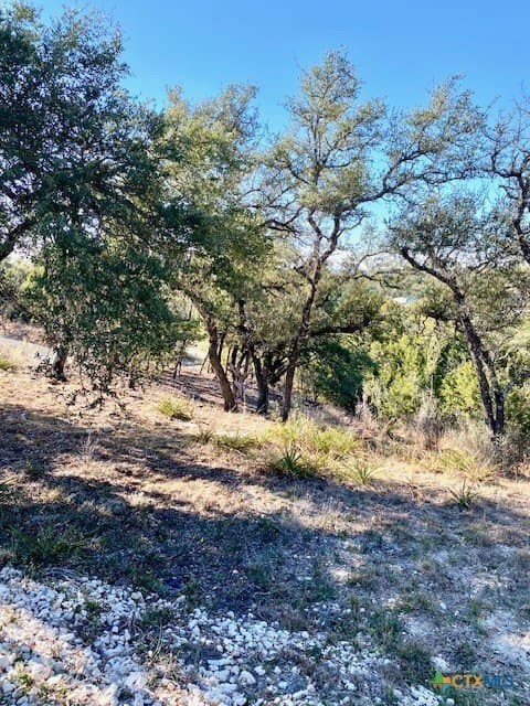 1.04 acres in Comal County gallery image 2