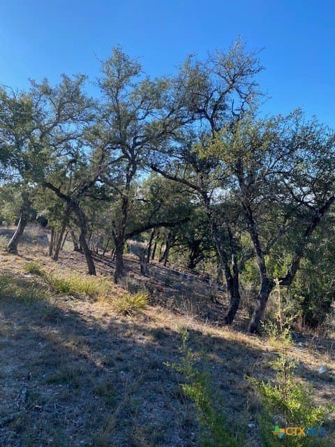 1.04 acres in Comal County - photo 9