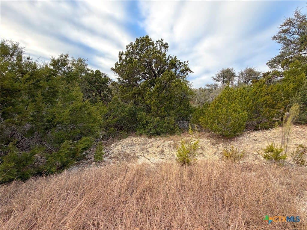 1.04 acres in Comal County - photo 21