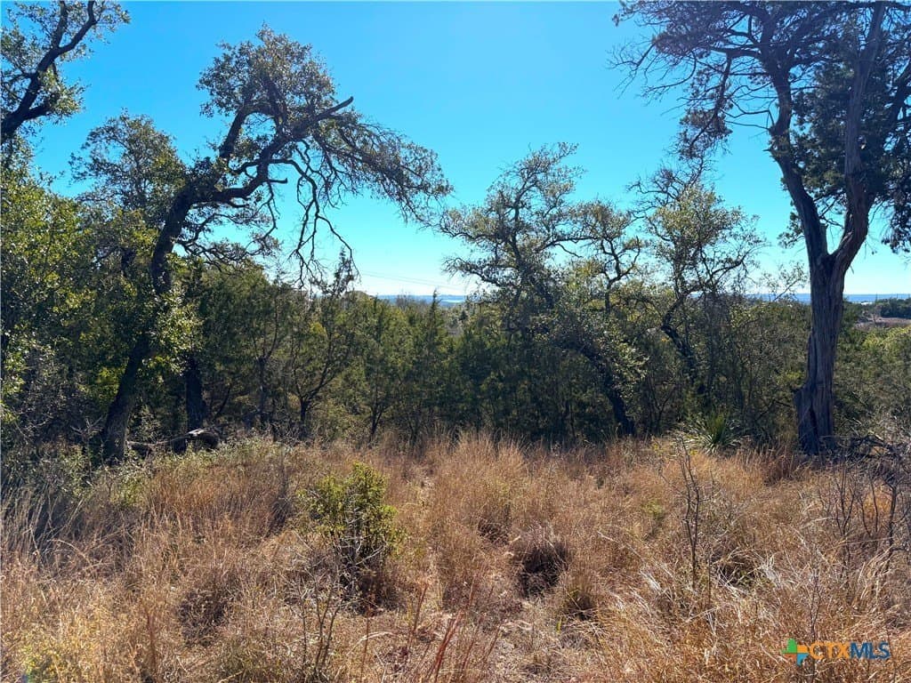 1.04 acres in Comal County - photo 28