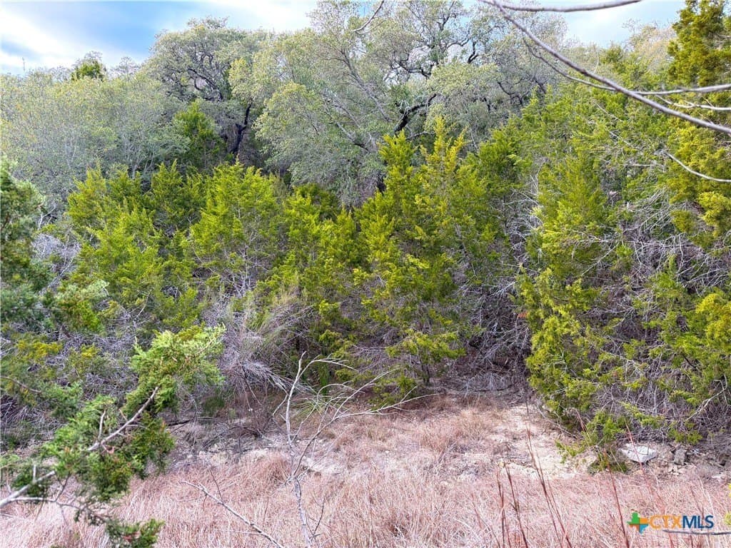 1.04 acres in Comal County - photo 19