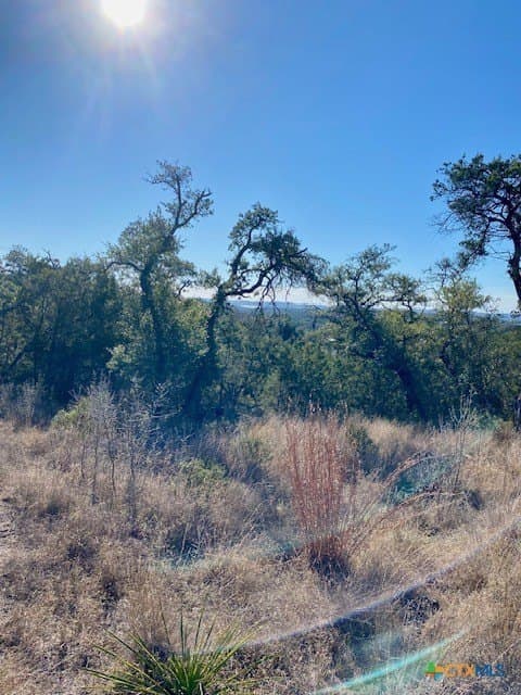 1.04 acres in Comal County - photo 6