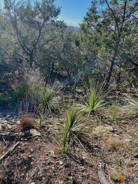 1.04 acres in Comal County gallery image 4