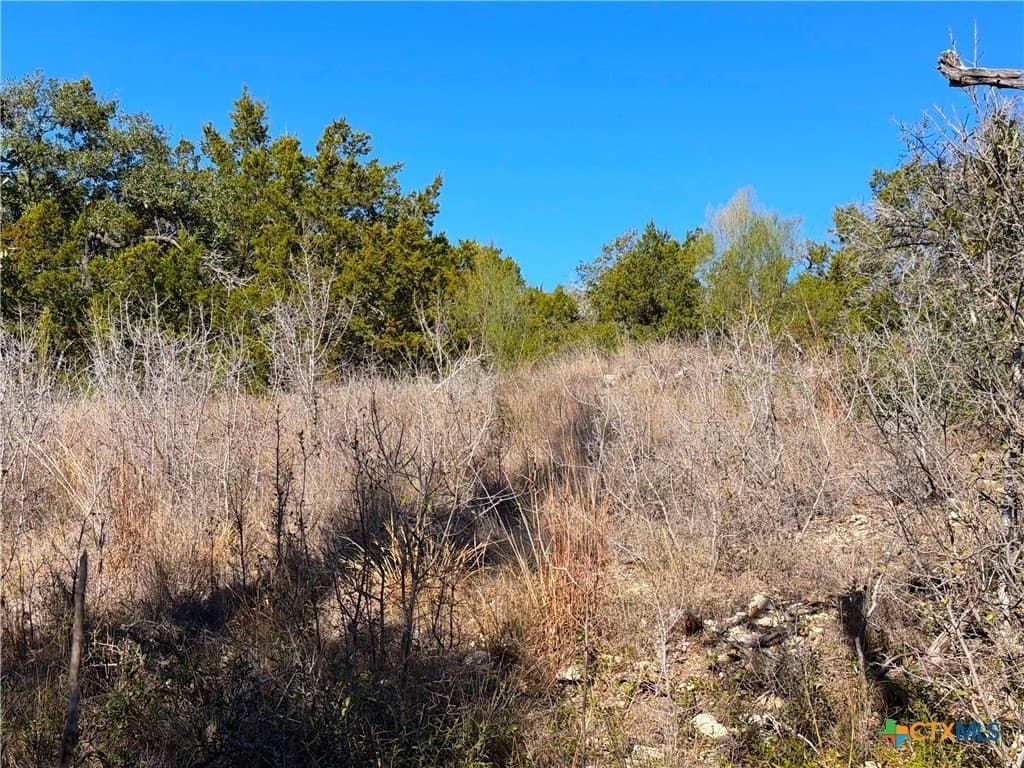 1.04 acres in Comal County - photo 32