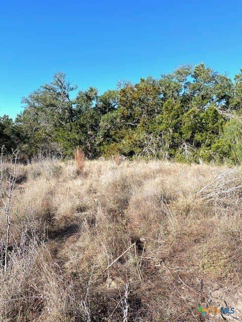 1.04 acres in Comal County - photo 7