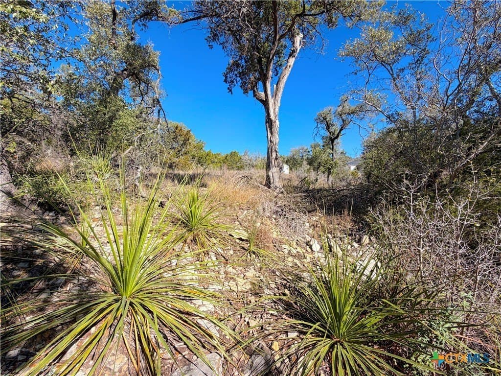 1.04 acres in Comal County - photo 31