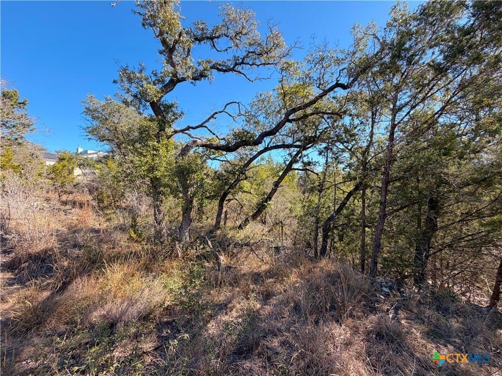 1.04 acres in Comal County - photo 30