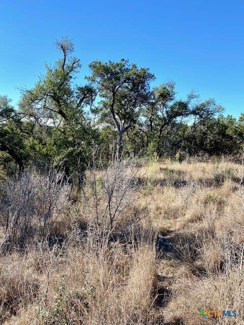 1.04 acres in Comal County - photo 8