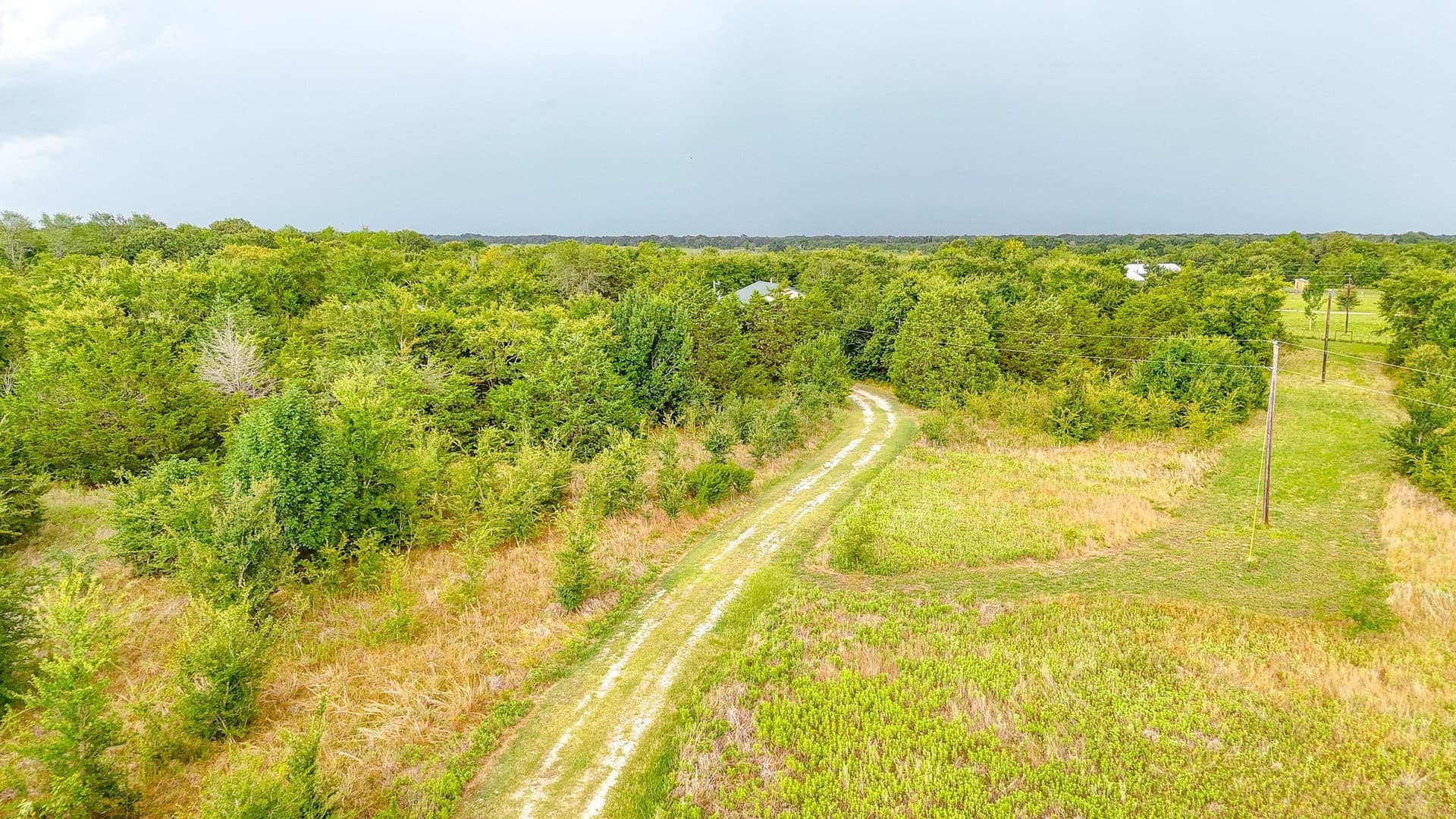 24 acres in Navarro County - photo 31