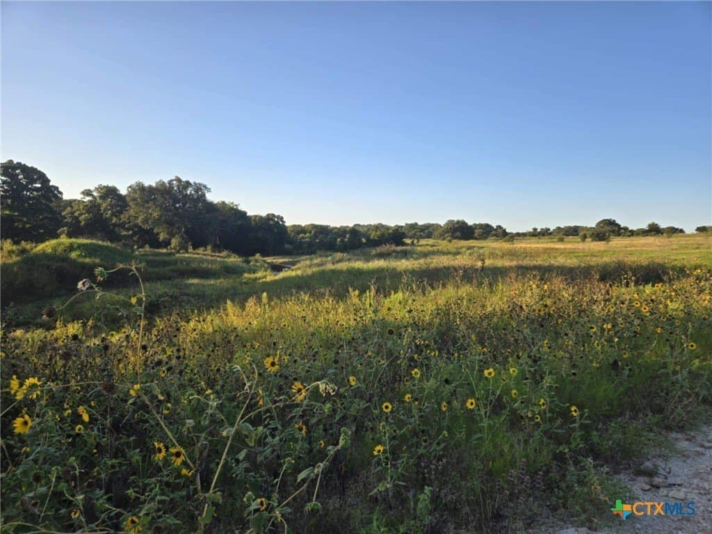 5.92 acres in Coryell County gallery image 2