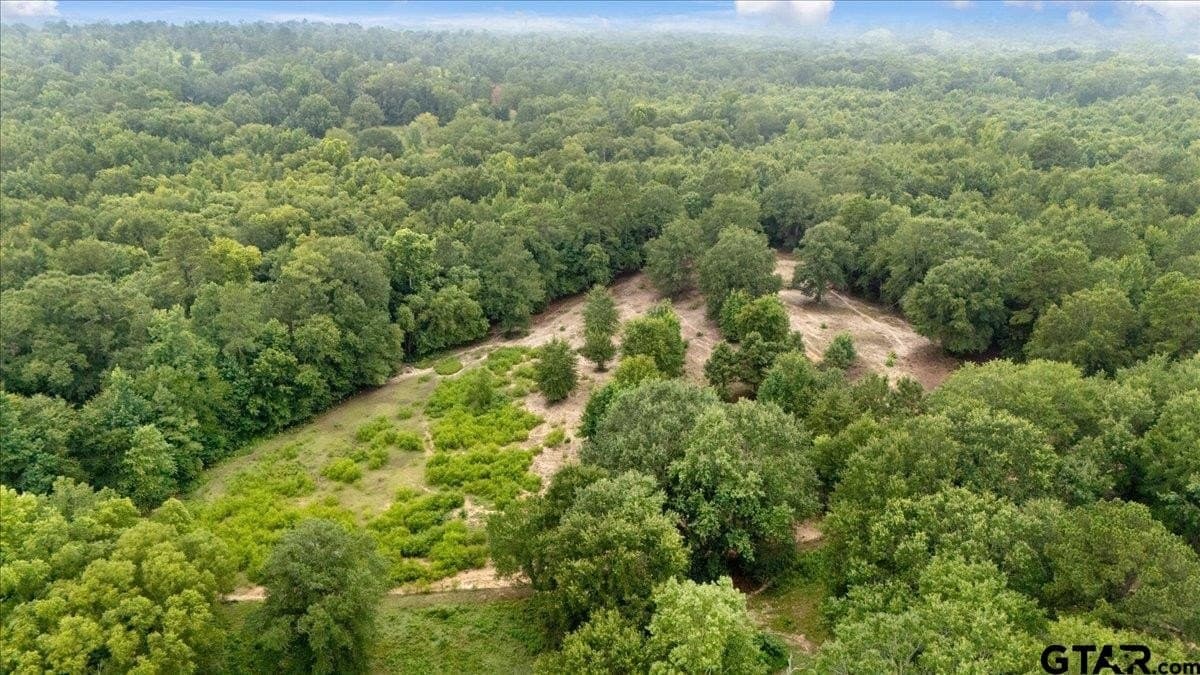 11 acres in Smith County gallery image 4