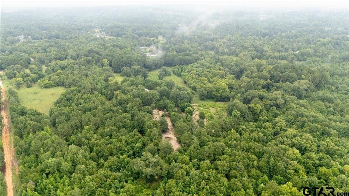 11 acres in Smith County - photo 9