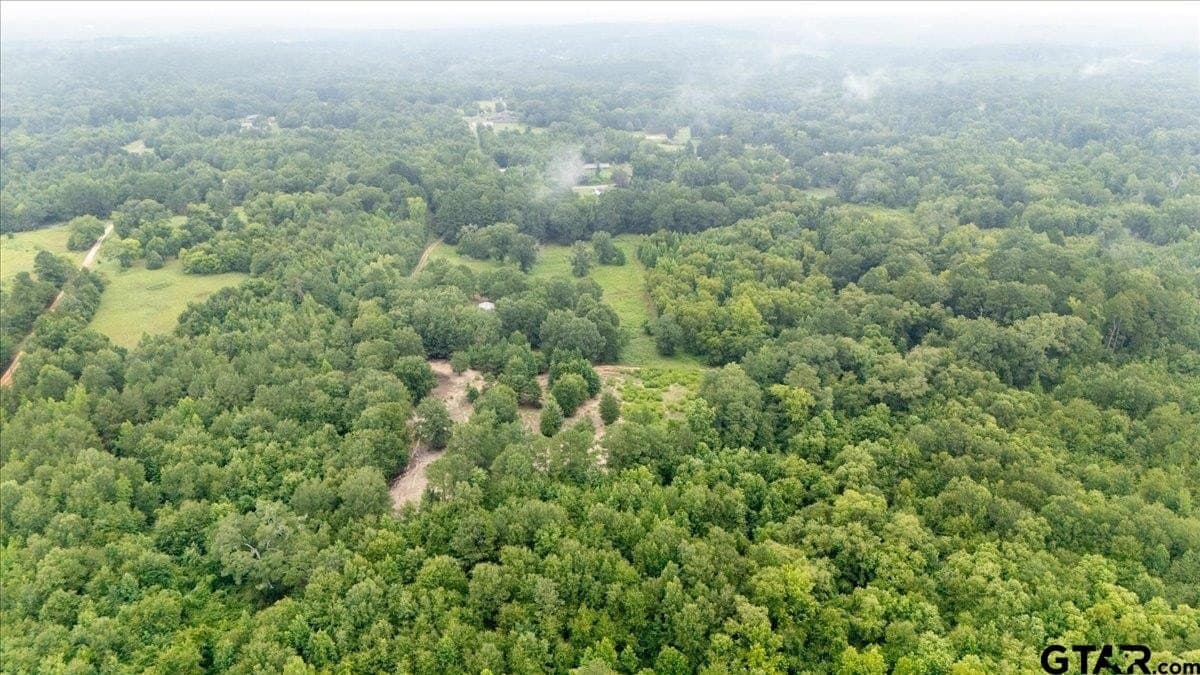 11 acres in Smith County - photo 10