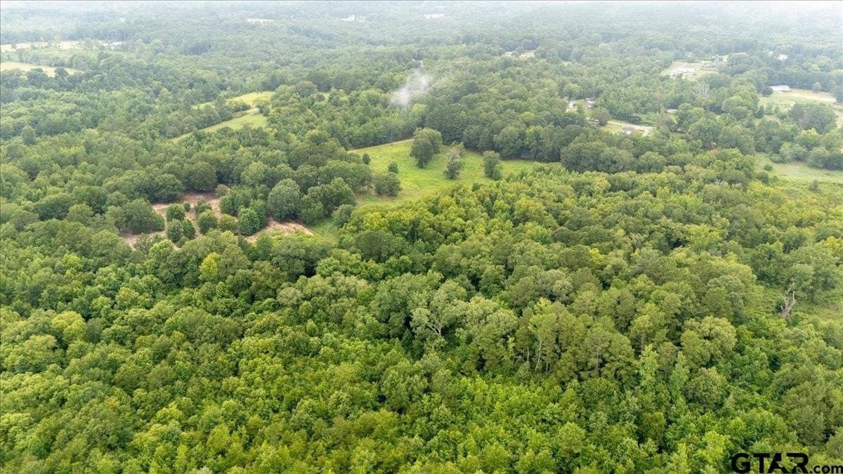 11 acres in Smith County - photo 11