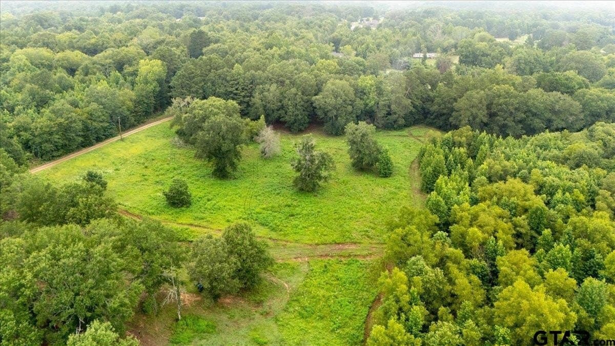 11 acres in Smith County gallery image 3
