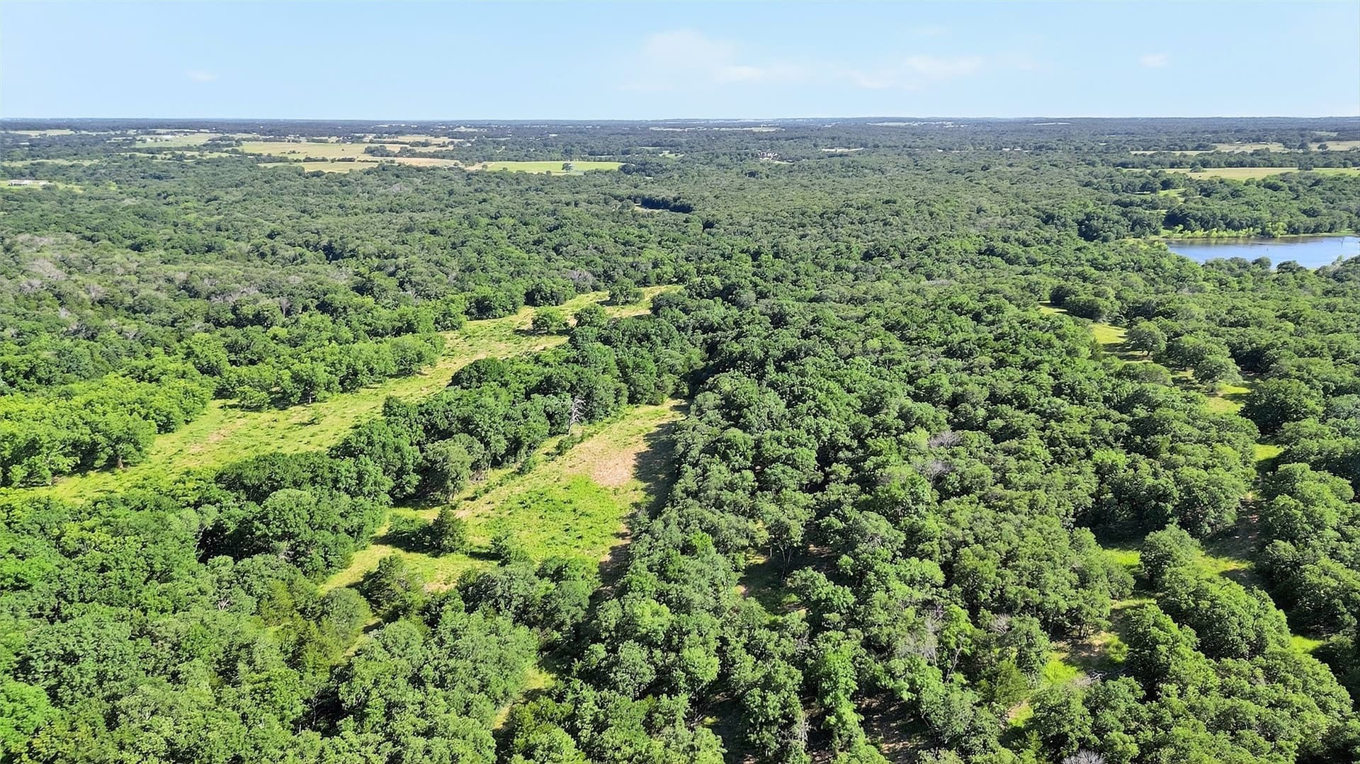 185.12 acres in Grayson County - photo 3