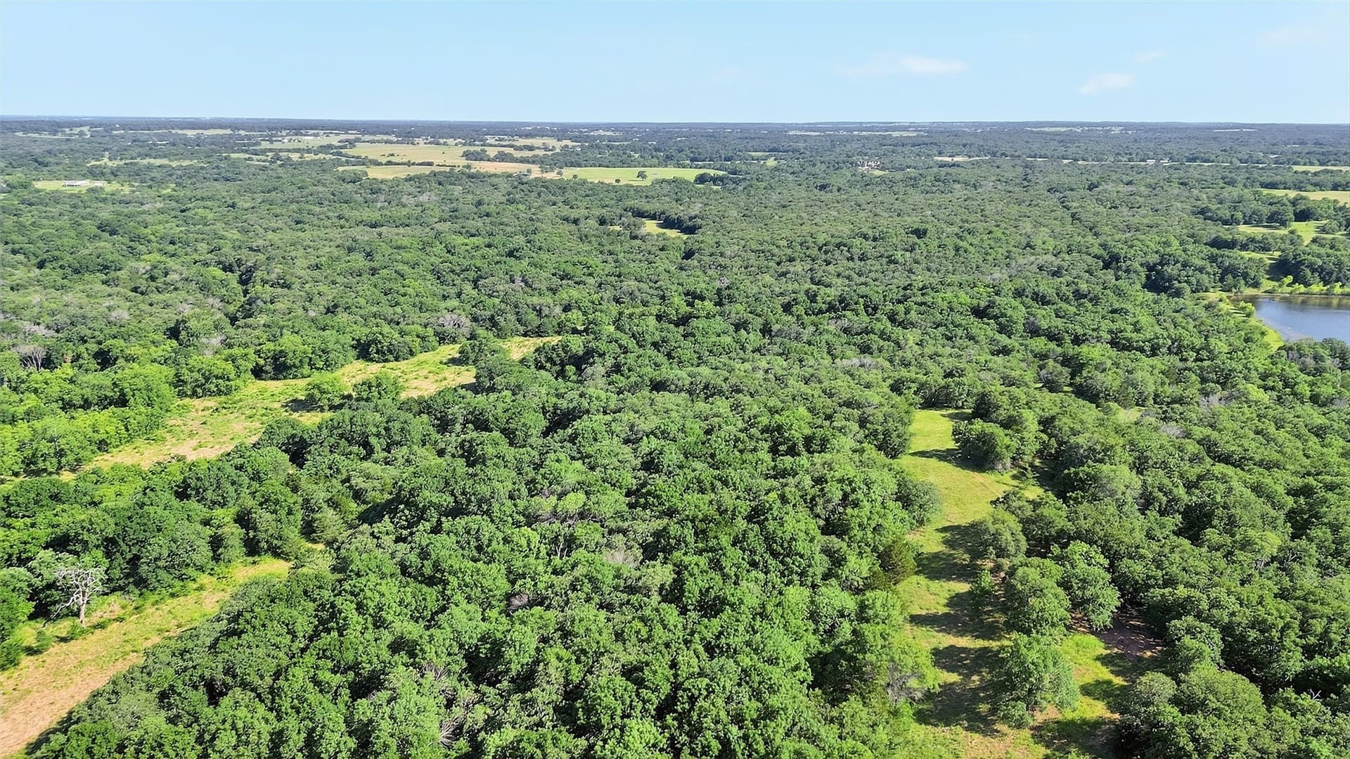 185.12 acres in Grayson County - photo 4