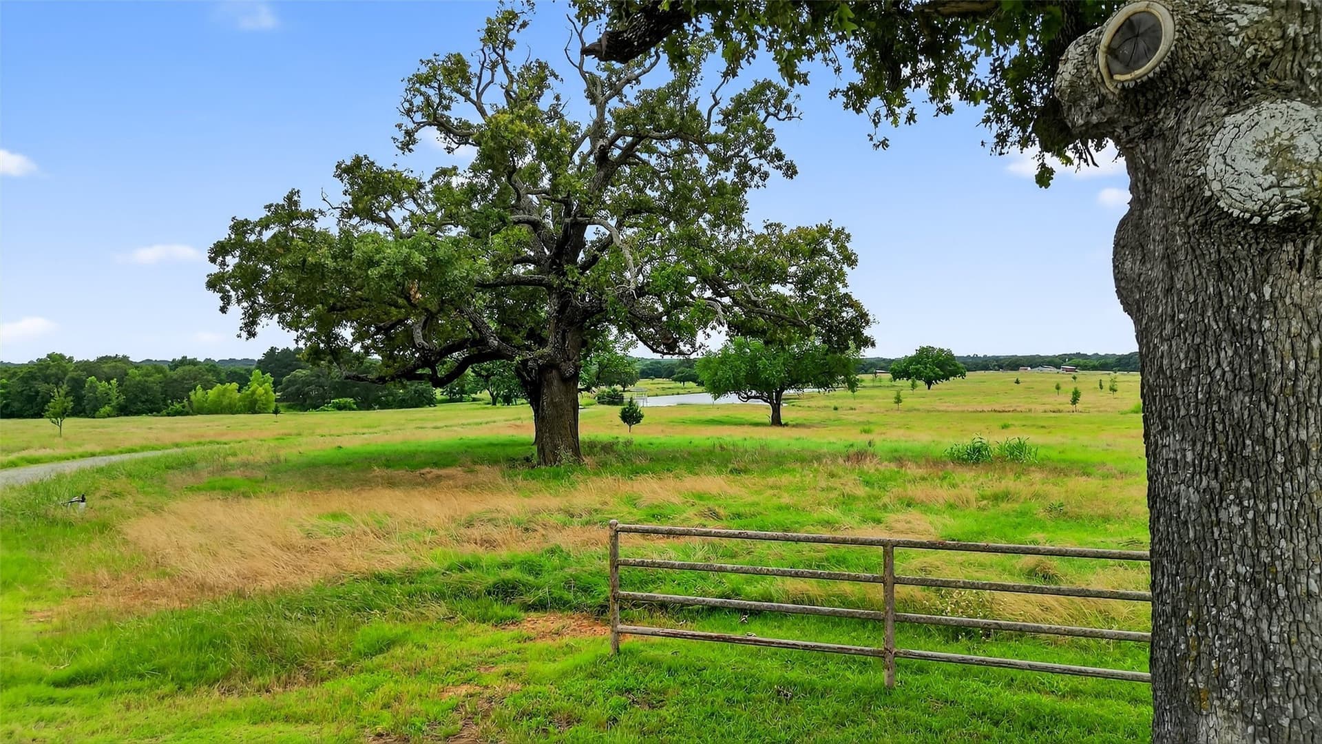 185.12 acres in Grayson County - photo 22