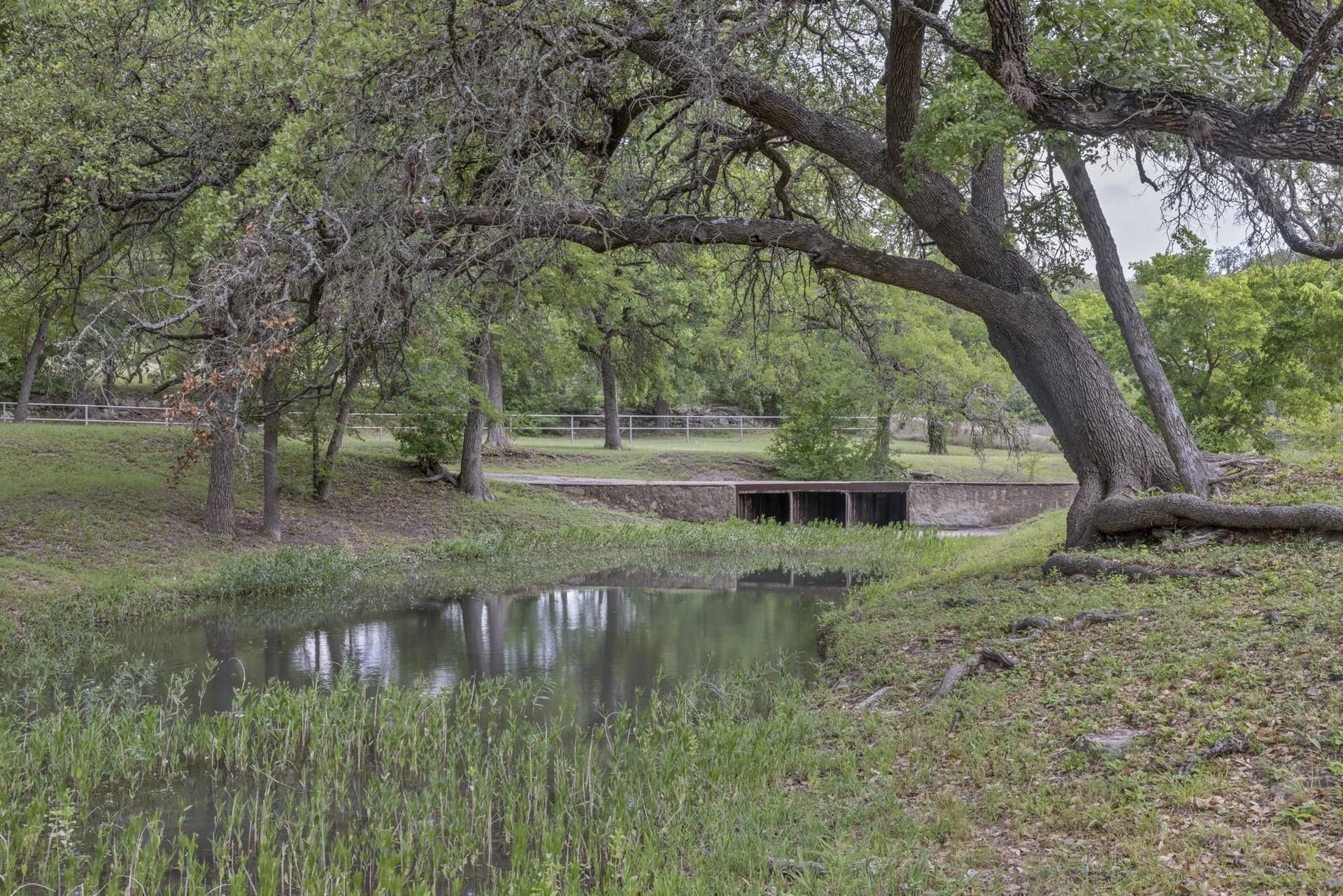 29.94 acres in Blanco County gallery image 4