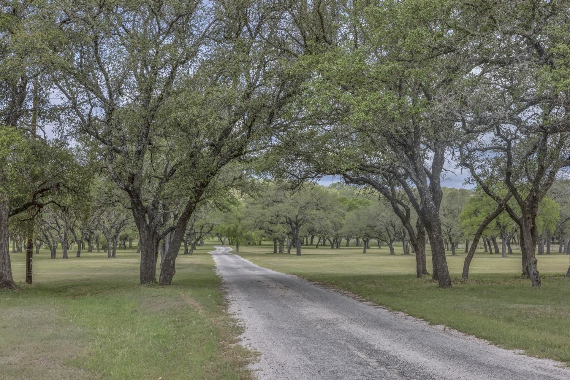 29.94 acres in Blanco County featured view