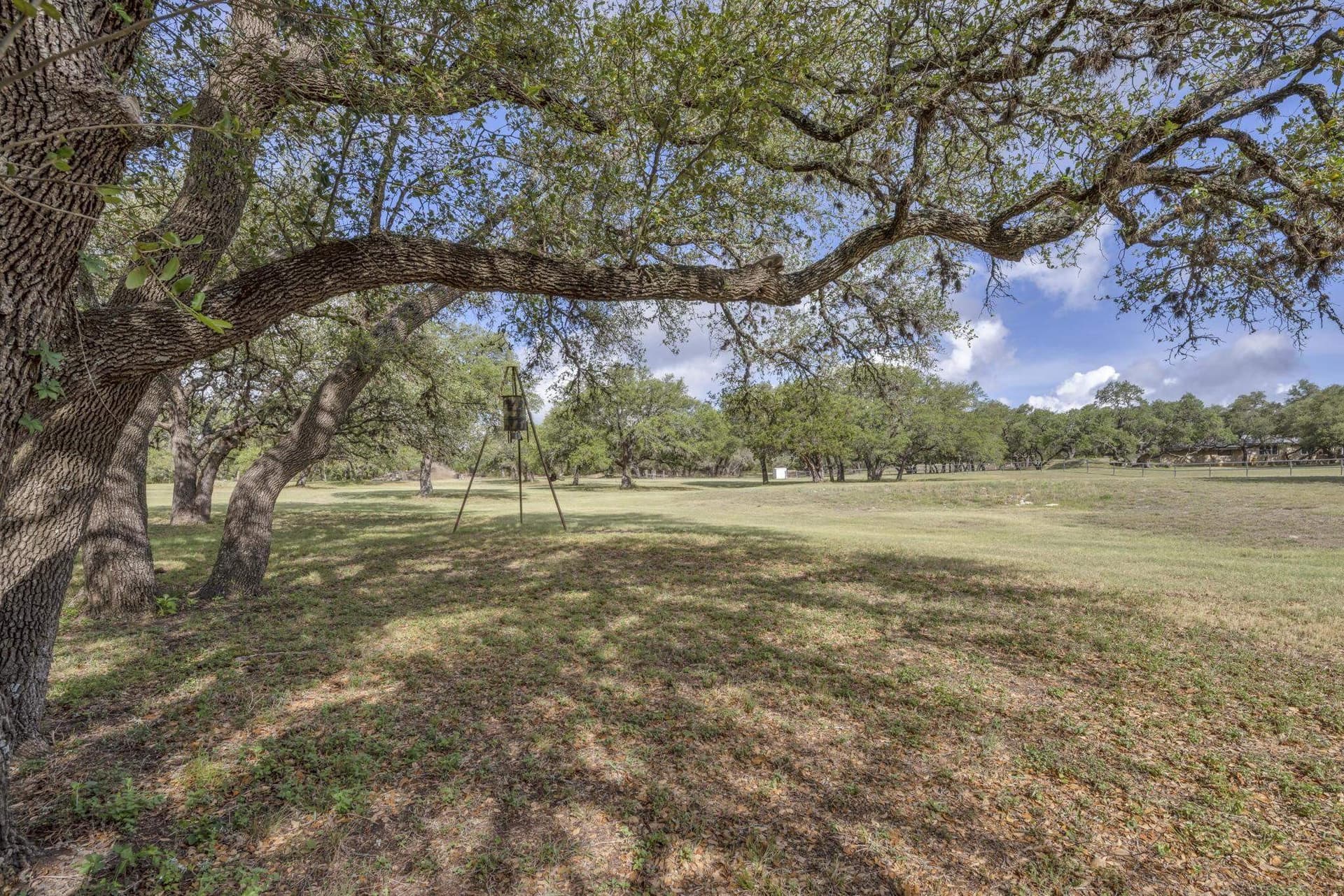 29.94 acres in Blanco County - photo 39