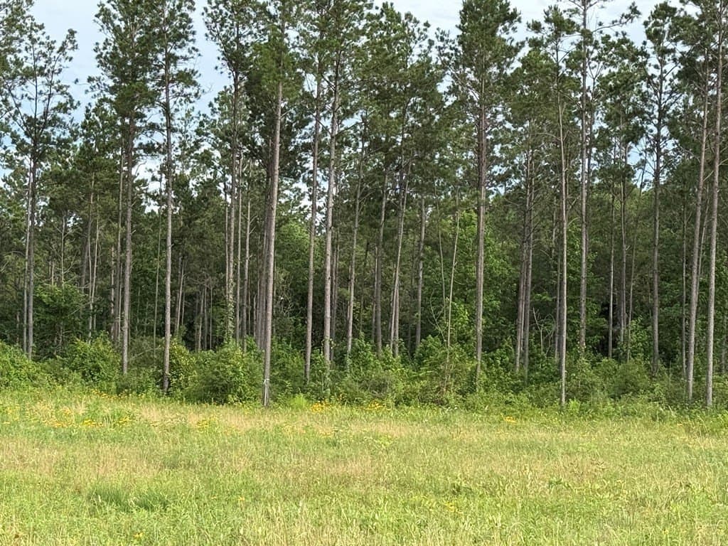 10.15 acres in Texas County featured view
