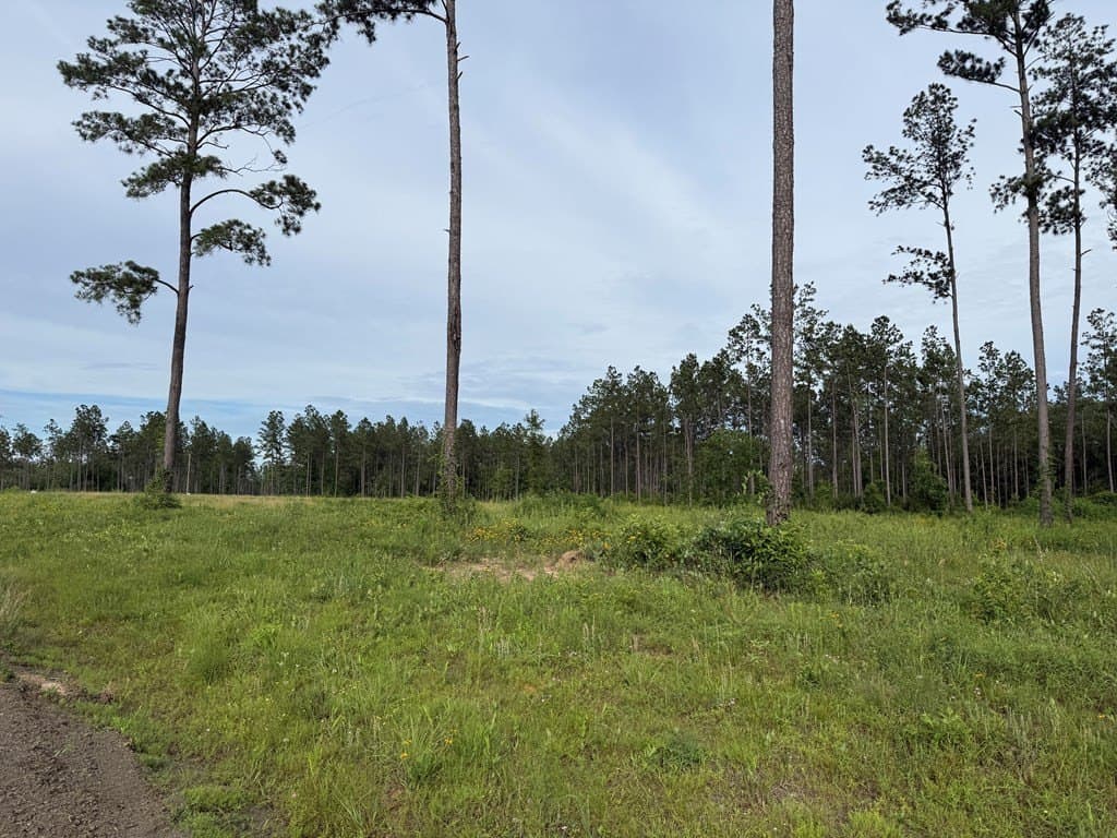 10.15 acres in Texas County gallery image 2