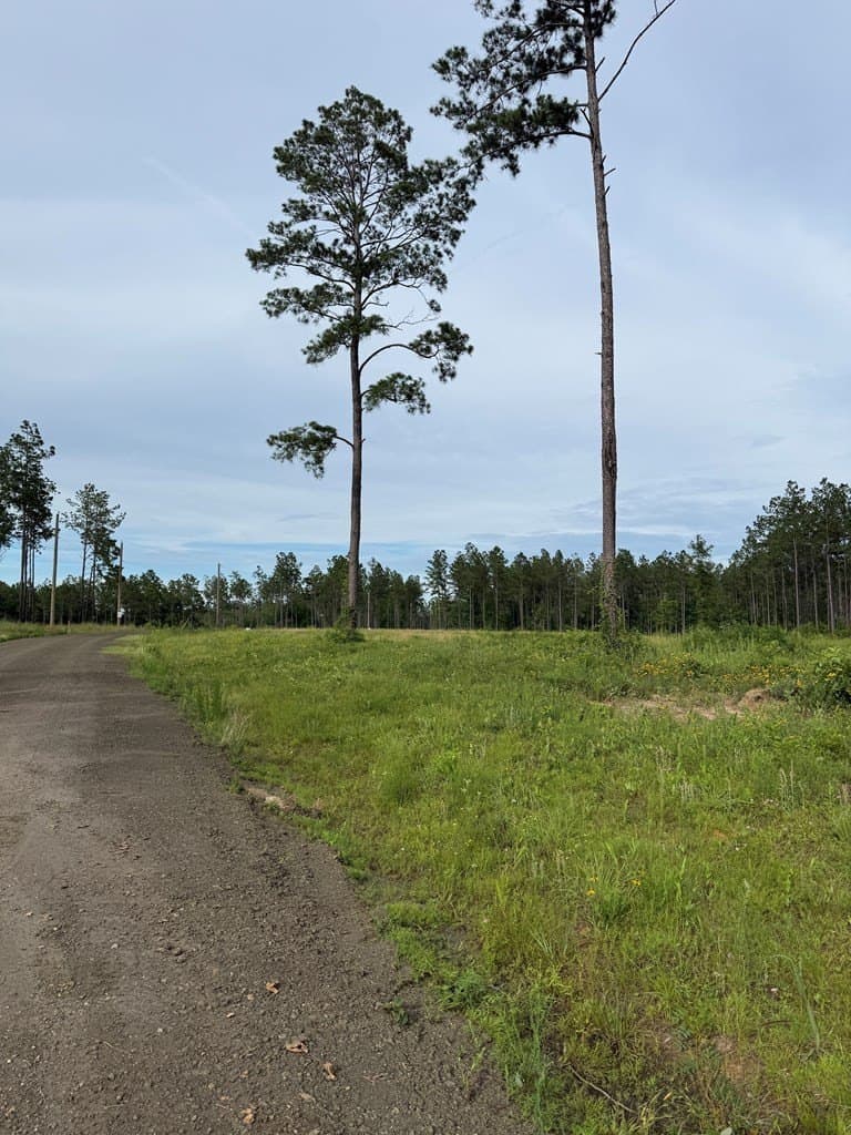10.15 acres in Texas County gallery image 3