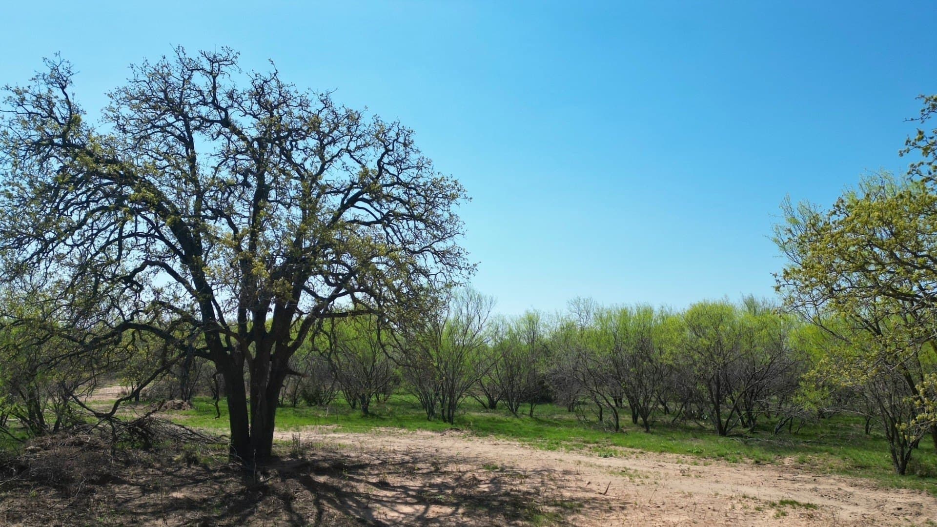12.25 acres in Eastland County featured view