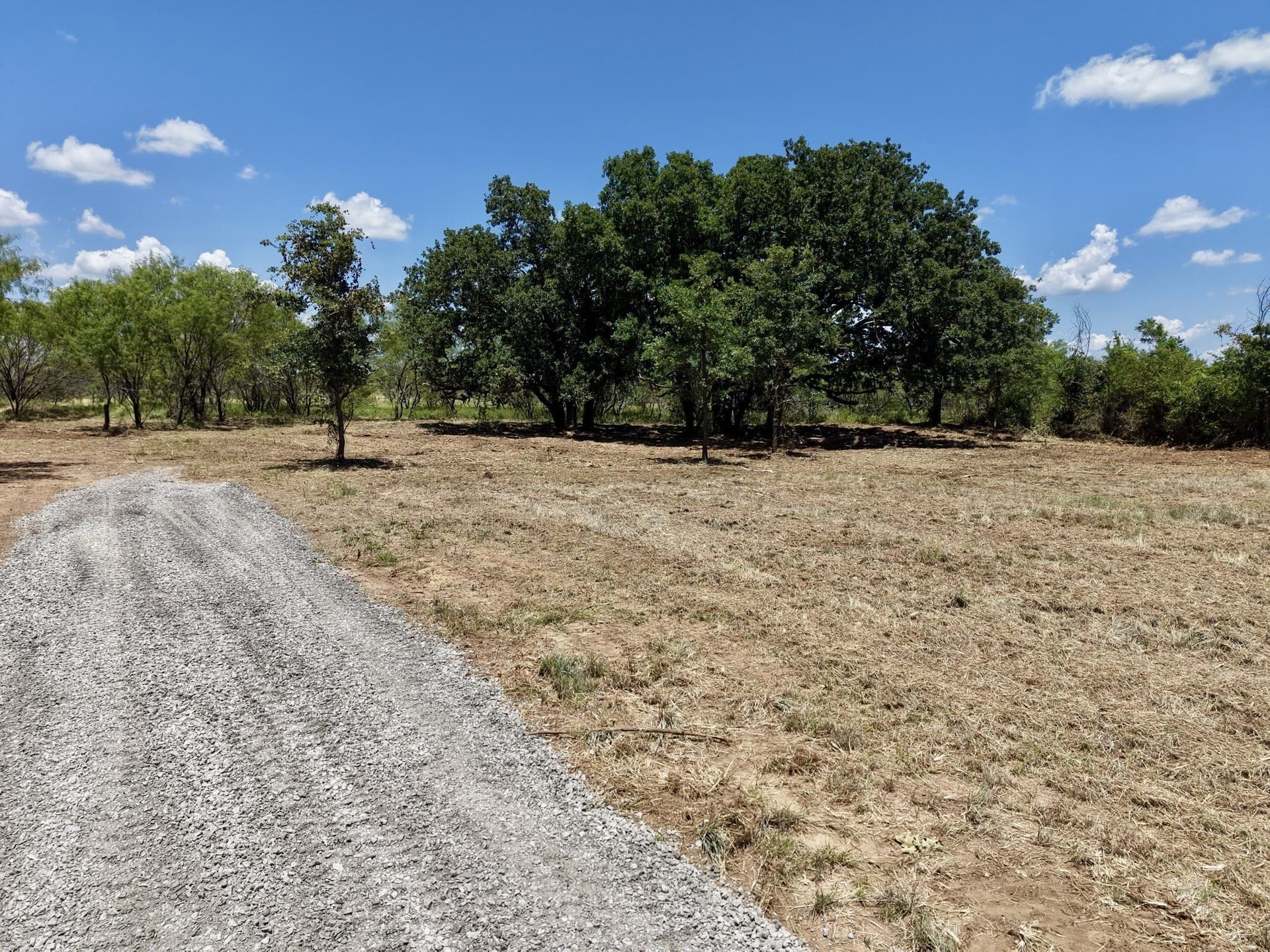 12.25 acres in Eastland County - photo 8