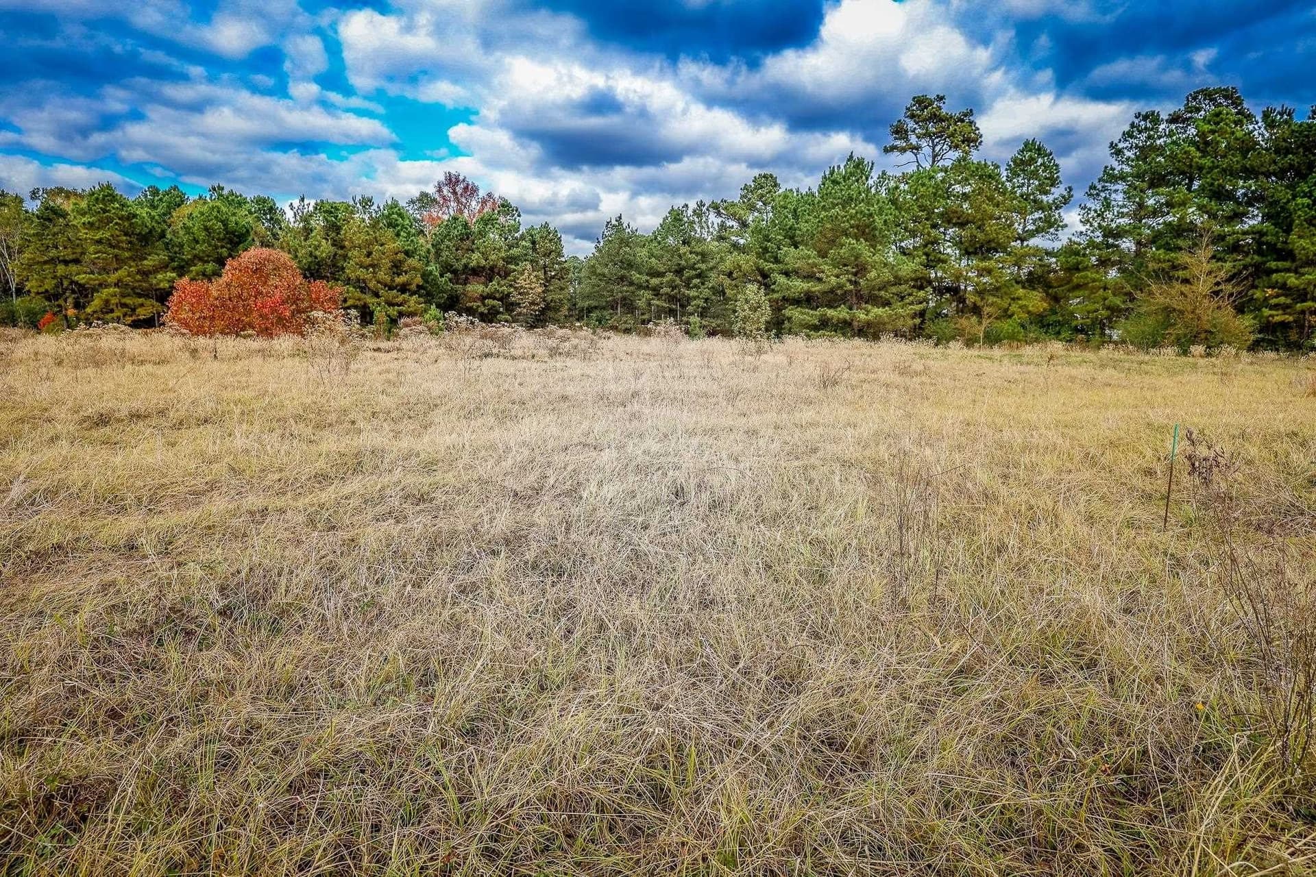 0.07 acres in Rusk County gallery image 3
