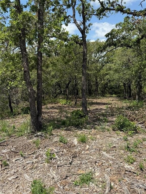3.03 acres in Montague County featured view