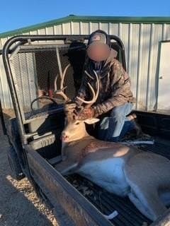 164 acres in Jack County gallery image 4