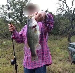 164 acres in Jack County gallery image 3