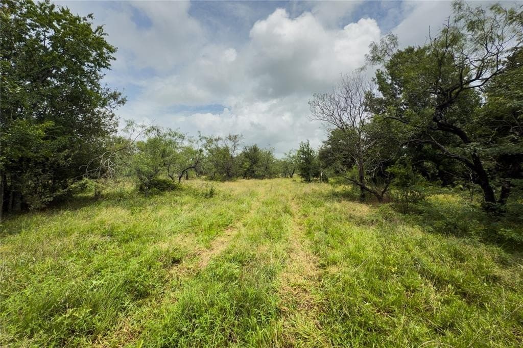 2.72 acres in Falls County featured view
