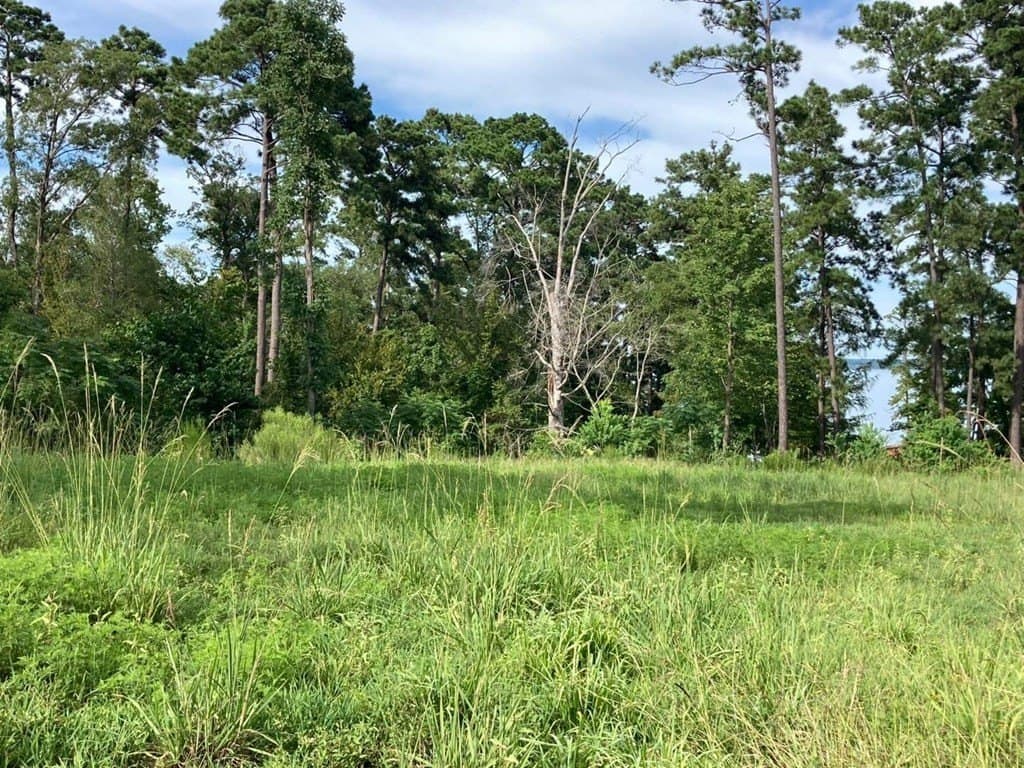 1.51 acres in Texas County gallery image 4