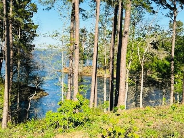 1.51 acres in Texas County