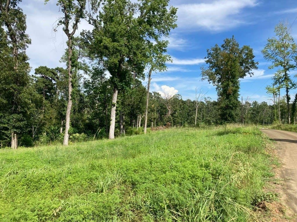 1.51 acres in Texas County featured view
