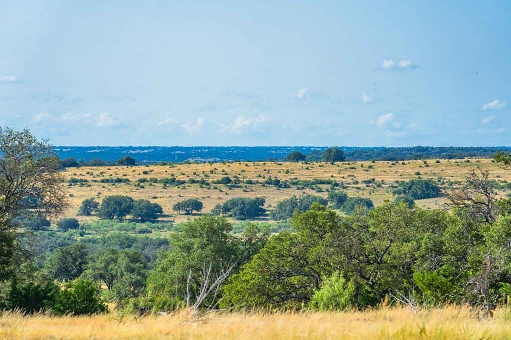 1,645 acres in Sutton County featured view