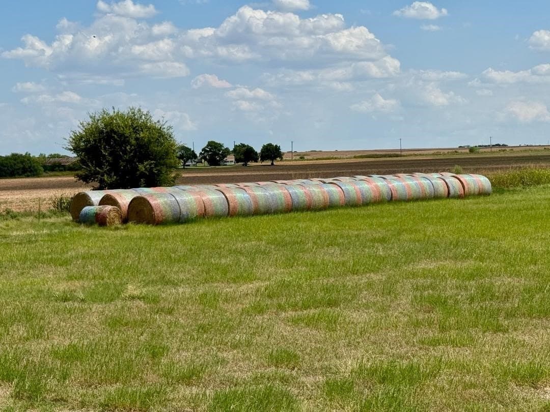 70.01 acres in Archer County - photo 18