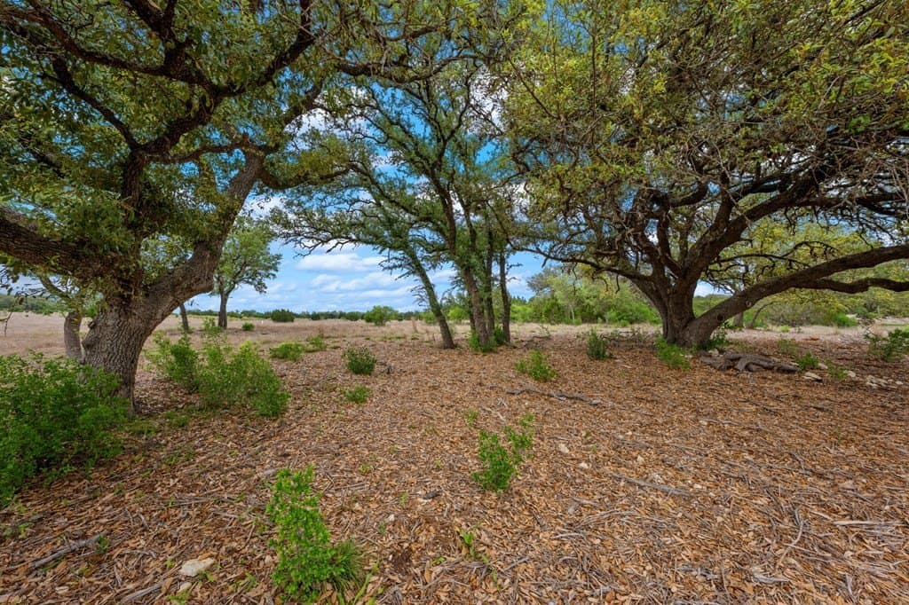 15.1 acres in Bandera County featured view