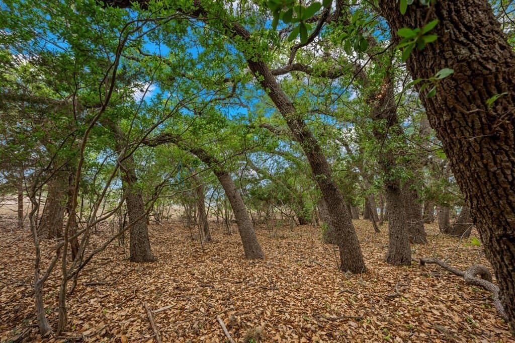 15.1 acres in Bandera County - photo 8
