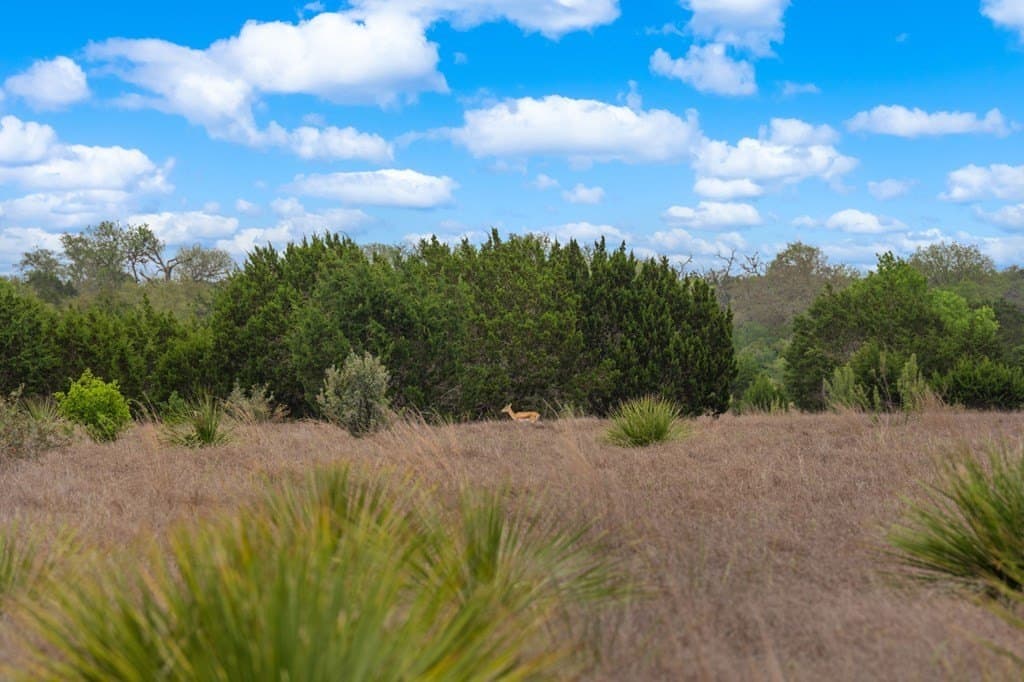 15.1 acres in Bandera County - photo 13