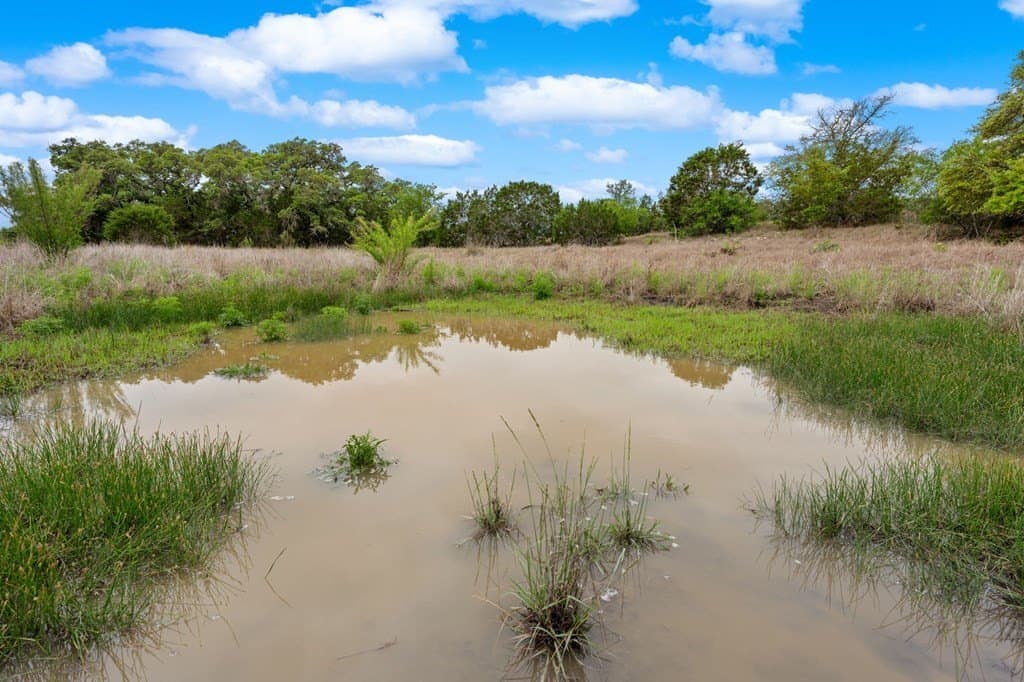 15.1 acres in Bandera County - photo 14