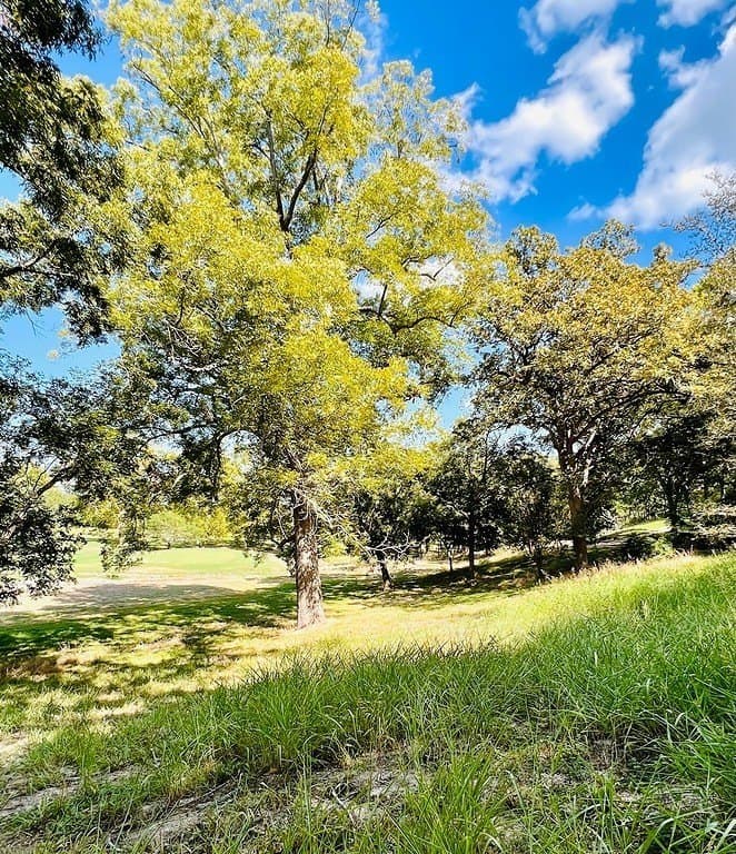 0.2 acres in Fayette County gallery image 4