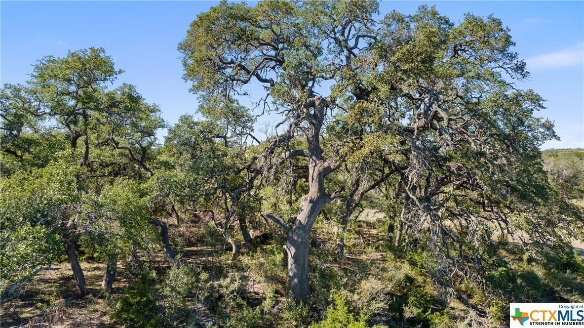 72.15 acres in Hays County - photo 15